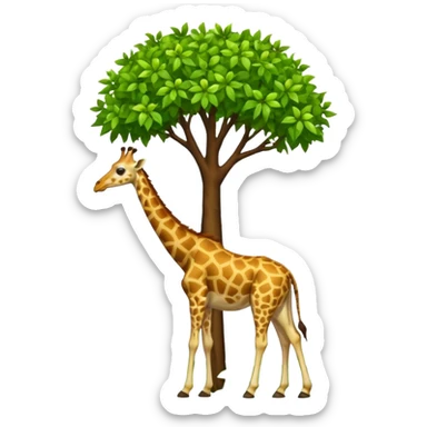 giraffe eating leaves from a tree sticker