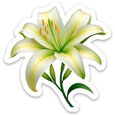 Cinematic Realistic Lily Emoji, Elegant and fragrant, with soft, white petals curling delicately around a golden-yellow stamen at its center. The long, slender green stem stands tall, supporting the vibrant bloom with its slightly curled tips. Soft glowing outline, capturing the essence of purity, elegance, and grace in a striking lily. sticker
