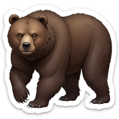 Intimidating dark brown bear on four legs with serious expression, fierce eyes, natural stance, realistic details sticker