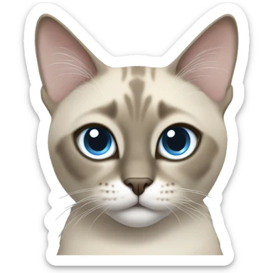 Thai breed cat with a light cream-brown body, dark gray face, ears, and paws. Short fur, sharp ears, and striking light blue eyes with an intense gaze. sticker