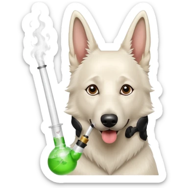 White belgian Shepard with bong sticker
