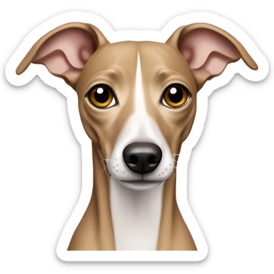 Tan Italian greyhound sticker