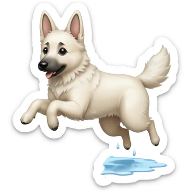 White belgian Shepard jumping over Rain puddles. There is a rainbow in the sky sticker