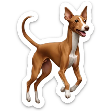 brown podenco jumping sticker