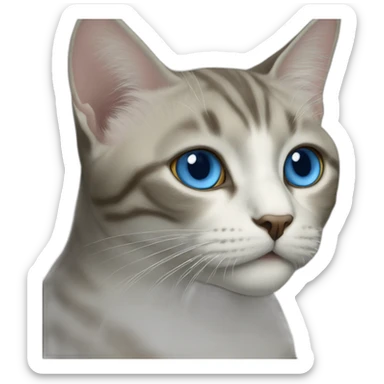 Cat sacred of Burma blue eyes sticker