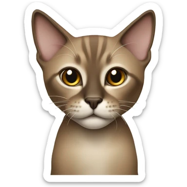 Dark Brown face - beige body thai cat sticker