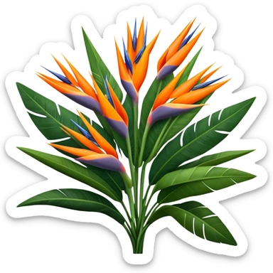 luxuriant, big bouquet Strelitzia Reginae, stem, leaf sticker