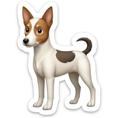 a full body large white floppy eared parson russell looking dog the size of a kelpie with light brown ears and a light brown patch on one eye and a large snout sticker