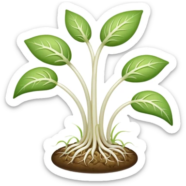 Bean sprouts laid out sticker