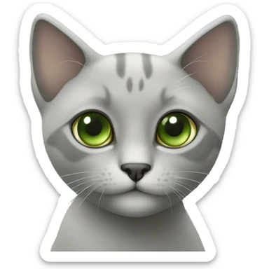 Gata común gris ojos verdes  sticker