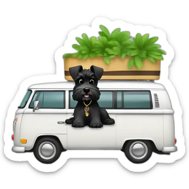 Black Zwergschnauzer in a white VW Bus sticker