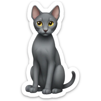 korat full body sticker