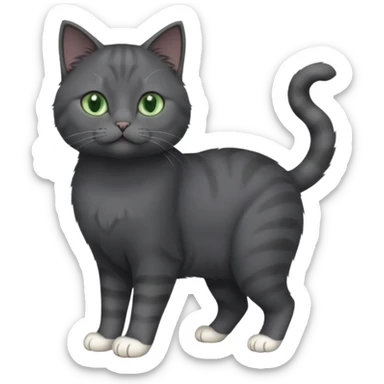 full body view of beautiful female solid dark grey cat with green eyes, white toes/paws and white patch on her chest sticker