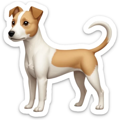 a full body facing front on of a buff white parson russell terrier looking dog the size of a kelpie with light brown long ears resting on its face and a light brown patch above one eye and a large snout. the rest of the dog is completely white.  sticker