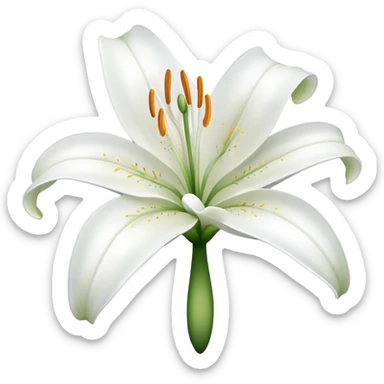 Hi the lily sticker