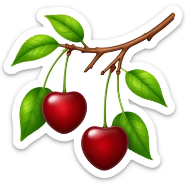 Two glossy red cherries hanging from a wooden branch with green leaves sticker
