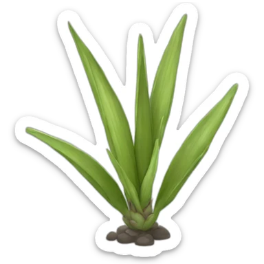 Yucca sticker