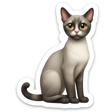 Siamois cat  sticker