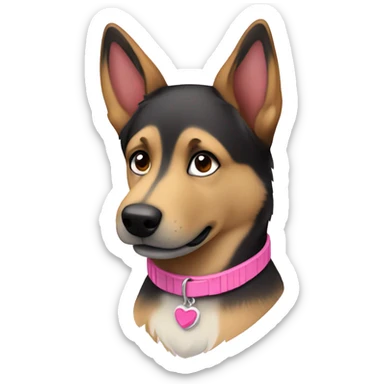 German Shepard husky mix female wearing a pink collar sticker