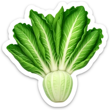 Romaine salad with no tomatoes sticker