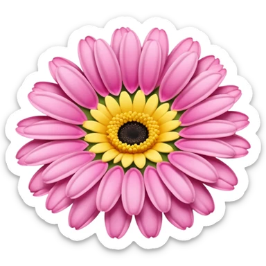super realistic pink and yellow transvaal daisy sticker