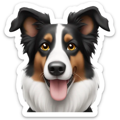 Border Collie Black white with smooth hair and ears like a german Shepherd  sticker