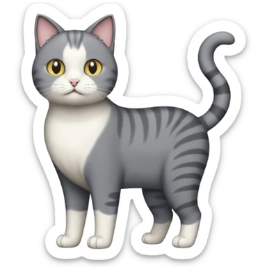 full body derpy looking large short hair dark grey and white cat sticker
