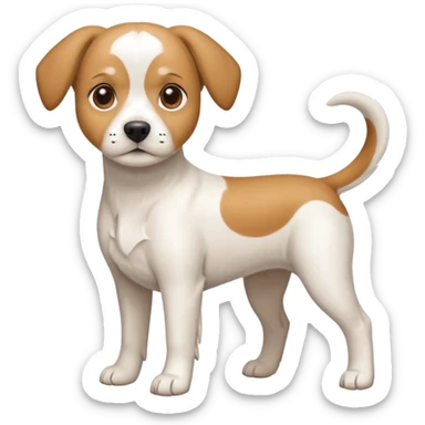a full body white beagle x maltese x chi dog the size of a kelpie with light brown ears and a light brown patch on one eye sticker