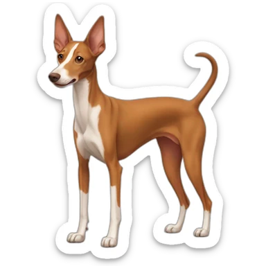 brown podenco dog sticker