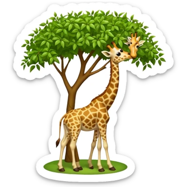 giraffe eating leaves from a tree sticker