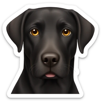 Black Labrador retriever with brown eyes sticker