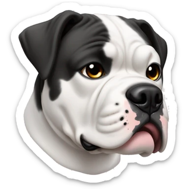 American bulldog white with black patch of fur on it’s eye. And white fur everywhere else  sticker