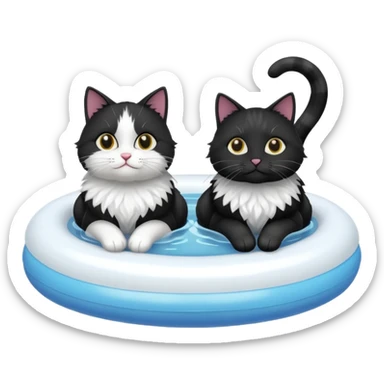 Two Black and white cats on a float in water  sticker