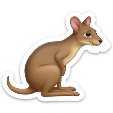 gars dormant dans une poche de kangou sticker