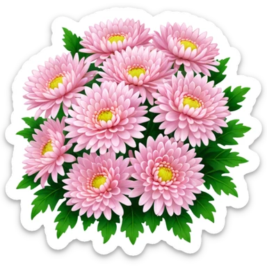big bouquet Soft Pink Chrysanthemum, luxuriant, leaf, bud sticker