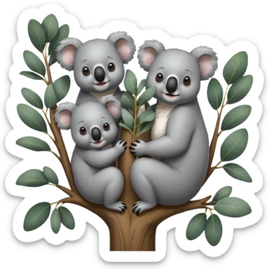 4 koalas sur un arbre sticker