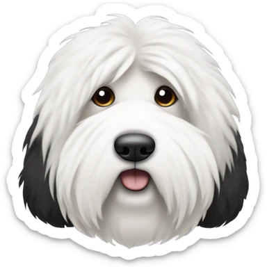 Old English sheepdog with a half and half face like a black (left) and white (right) cookie sticker