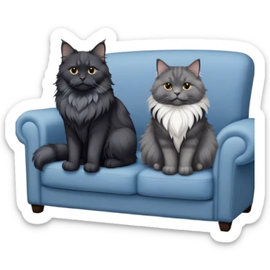A large black smoke Maine Coon cat with long grey ear tufts and a fluffy grey ruff, sitting next to a chubby British Shorthair cat in blue color with plush fur, both sitting comfortably on a sofa. Beautiful room background with flowers and soft lighting. Transparent background. sticker