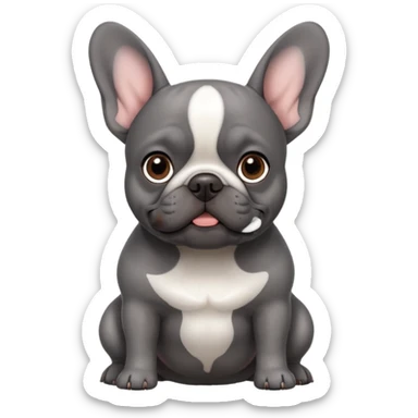dark gray french bulldog with brown eyes and white belly sticker