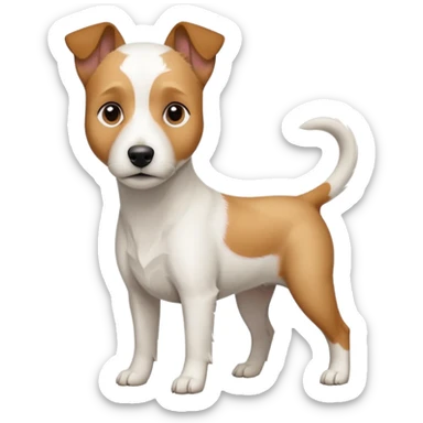 a full body slightly chubby white parson russell terrier looking dog the size of a kelpie with light brown long ears and a light brown patch on one eye and a large snout sticker