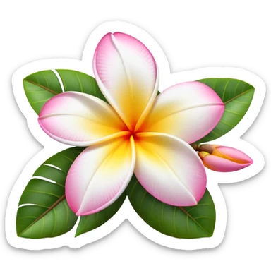 plumeria without yellow center sticker