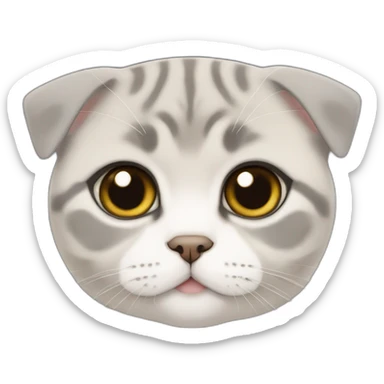 British short hair scottish fold sticker