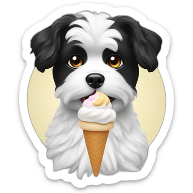 A black and white Maltese spitz eating an ice cream sticker