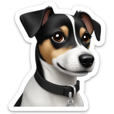 Chiwawa Jack russell mix black and a little white sticker