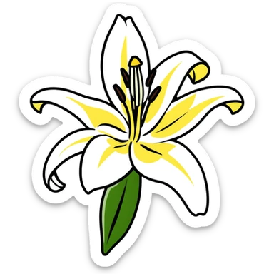 pure white lily flower in bloom sticker