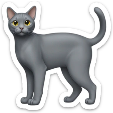 Korat Cat Full Body sticker