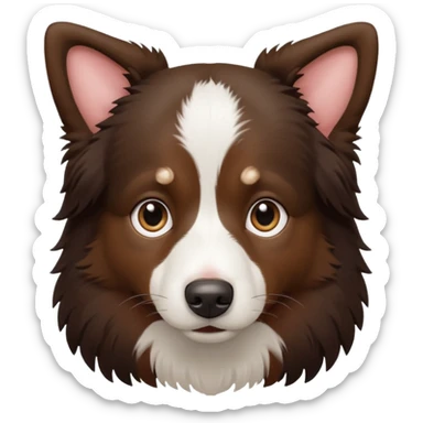 Border collie de cuerpo café oscuro y pecho blanco  sticker