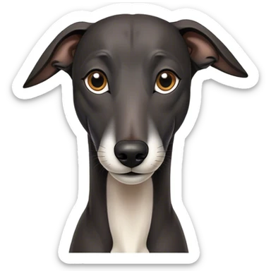 Black greyhound with white chin  sticker