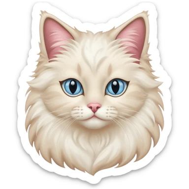 Neva masquerade cat, very fluffy, with pale blue eyes and rose nose sticker