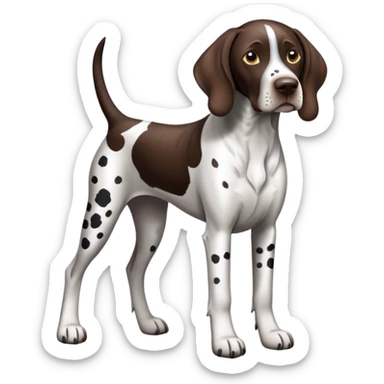 German Shorthaired Pointer black and white tipped patch sticker